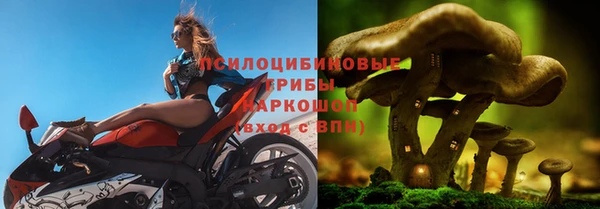 ALPHA-PVP Белокуриха